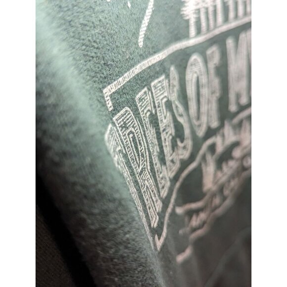 TREES OF MYSTERY Pullover Hoodie Sweatshirt Unisex Size Small Green Heavyweight - Picture 4 of 14